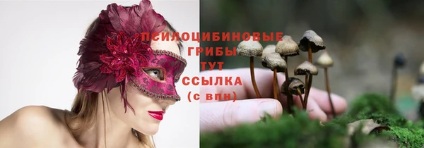 прущий лед Балабаново