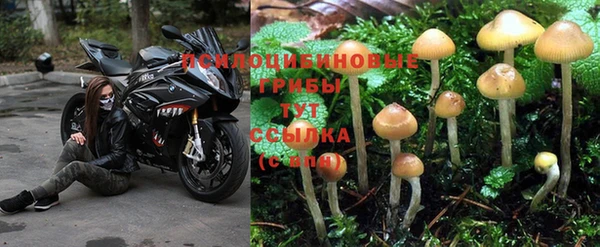 прущий лед Балахна