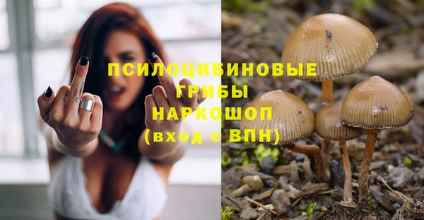 spice Баксан